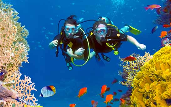 Scuba Diving Travel Insurance